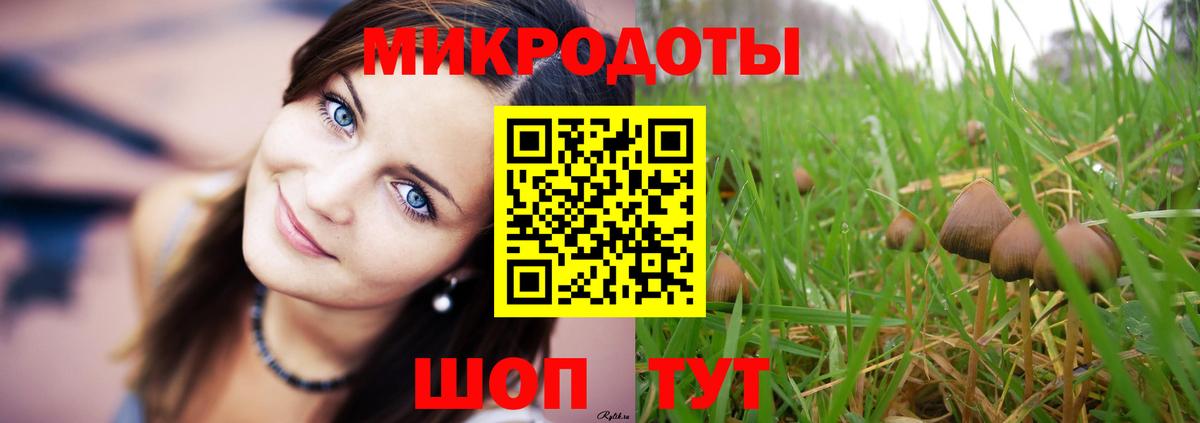 Воткинск  Галлюциногенные грибы Cubensis  Галлюциногенные грибы мицелий  Вход с VPN 